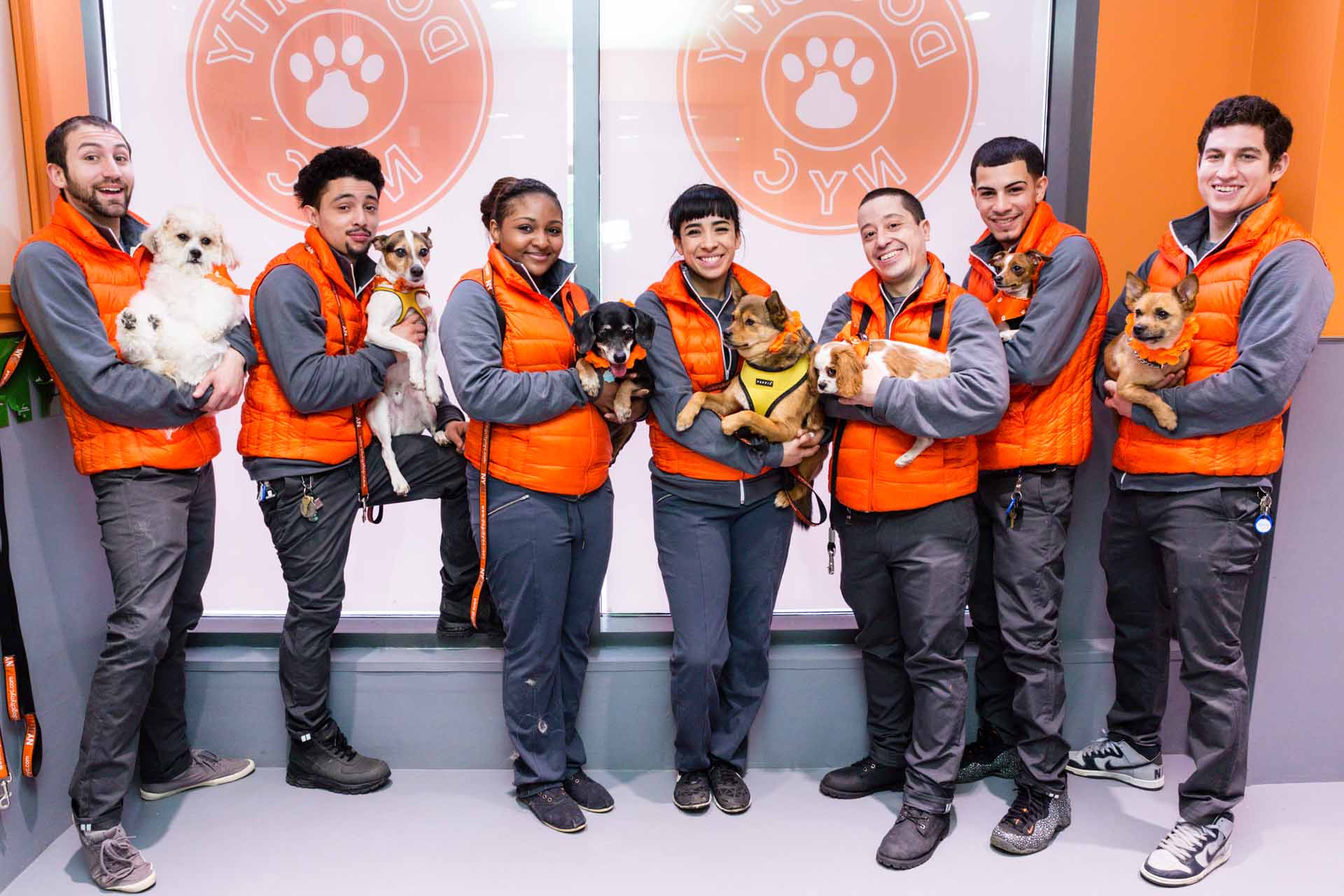 Dog-City-NYC-Team-Portrait Dog-City-NYC-Team-Portrait