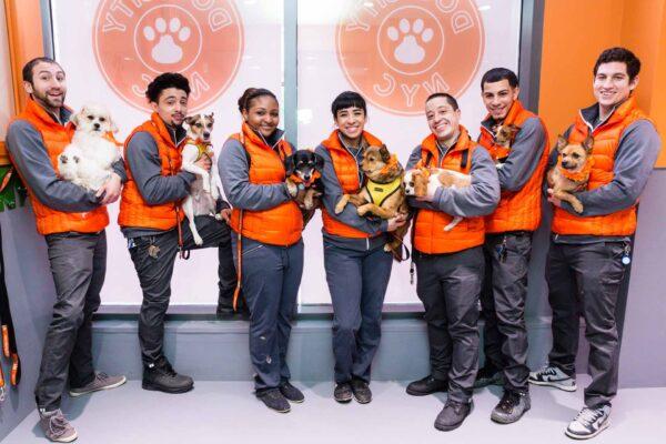 The team at a NYC doggie spa